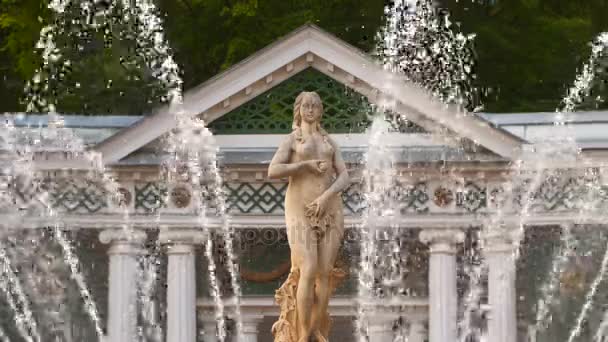 Sculpture of Eve among the jets of the fountain in the garden of Peterhof — Stock Video