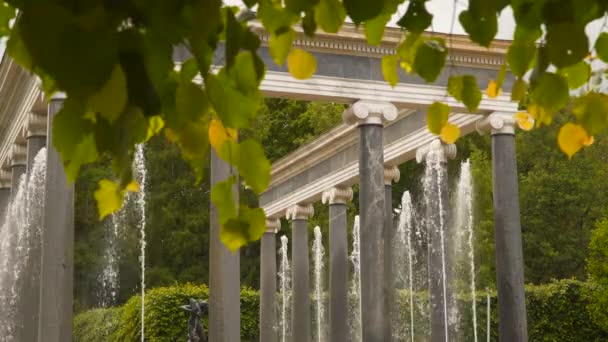 Lion cascade fountain in petergof park St. Petersburg — Stock Video