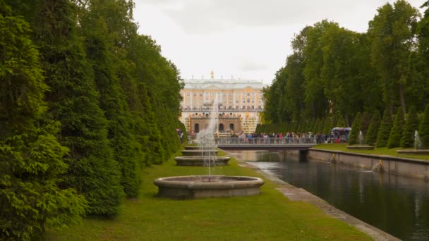 Peterhof. Petrodvorets Allée des fontaines — Video