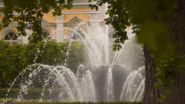 Brunnen "Garbe" Peterhof — Stockvideo