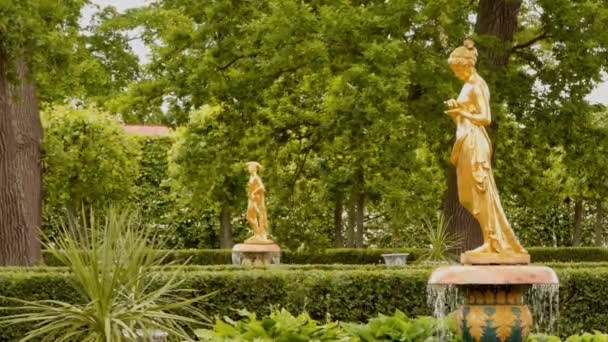 Parque y estatua en estilo antiguo - niña cerca del Palacio Monplaisir en Peterhof — Vídeos de Stock