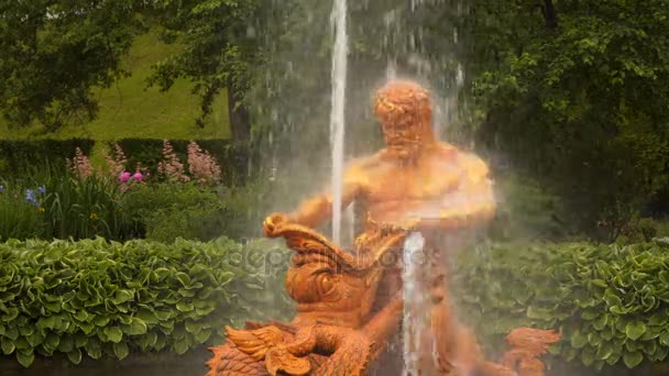 海神喷泉，彼得夏宫，彼得圣彼得堡 — 图库视频影像