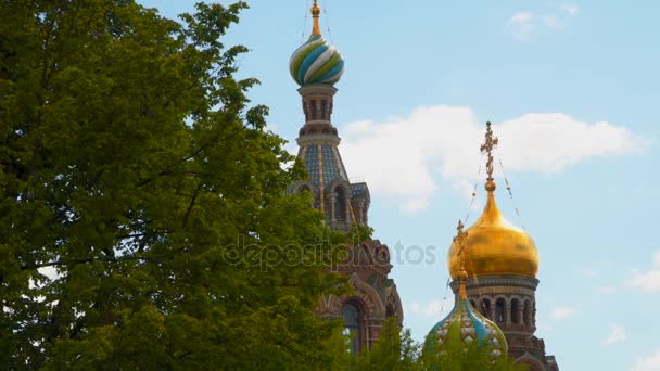 Domes Church of the Savior on Spilled Blood — Stock Video