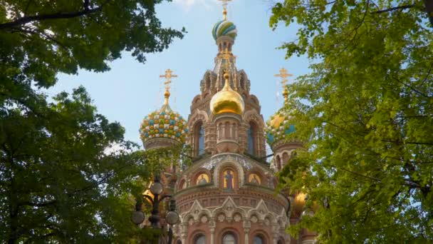 Церковь Спасителя на Крови среди ветвей деревьев — стоковое видео