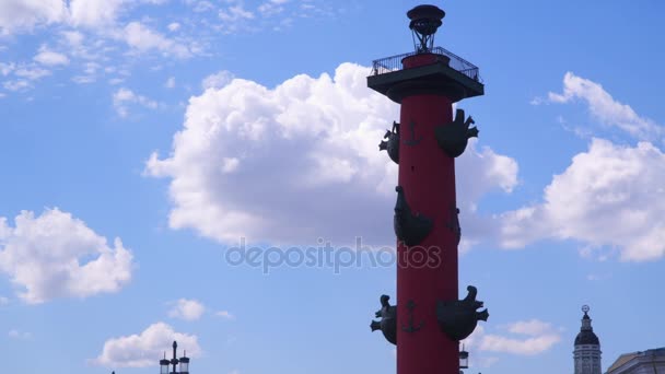 Rostraal kolommen in Sint-petersburg — Stockvideo