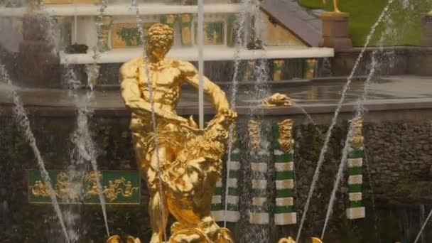 Fuente "Sansón" en Peterhof — Vídeos de Stock