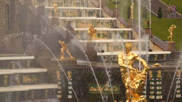 Sansón - la fuente central del palacio y el conjunto del parque "Peterhof " — Vídeo de stock