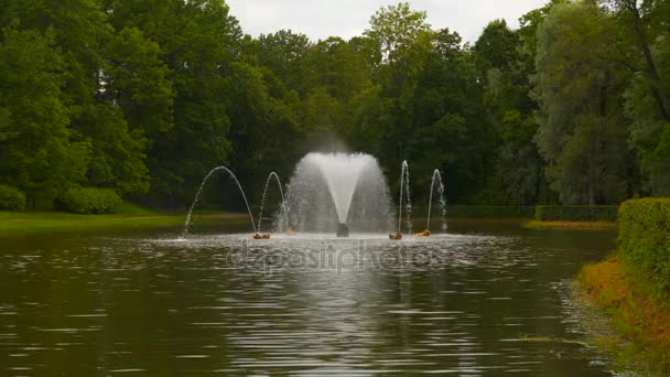 Un étang avec une fontaine parmi les arbres — Video