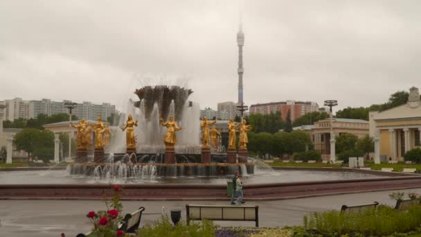 Fontana dell'amicizia dei popoli — Video Stock