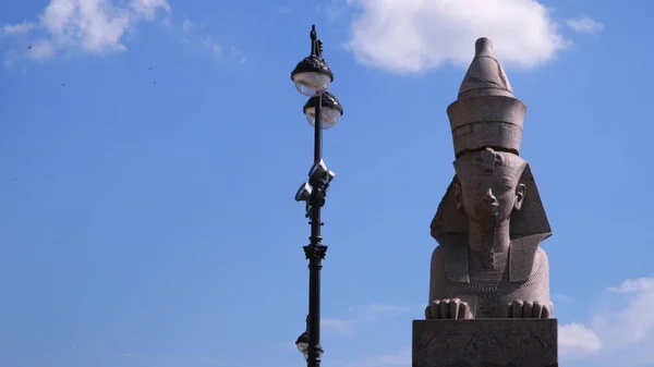 Sphinxes.Saint Petersburg. Ellen az égen a felhők — Stock Fotó