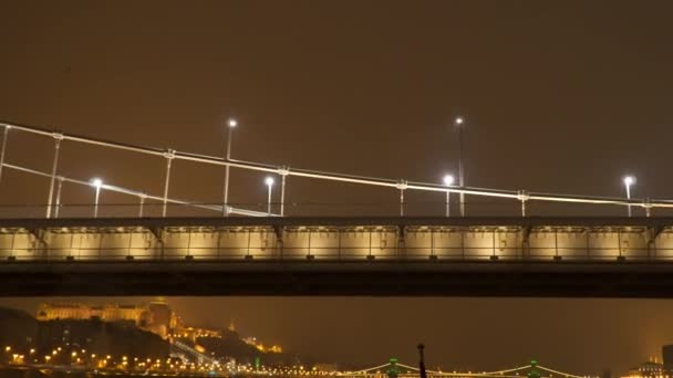 Erzsebet brug in Boedapest Hongarije — Stockvideo