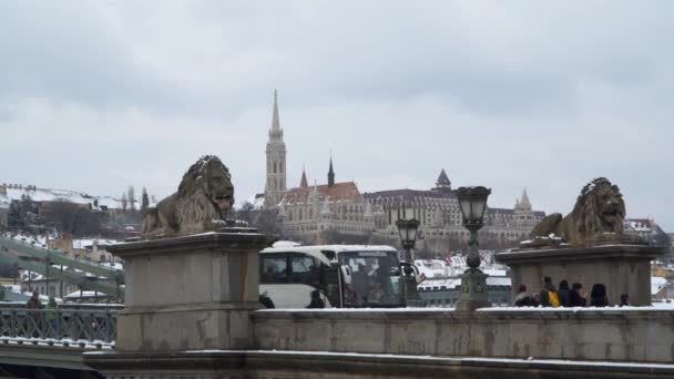 Plastiky lvů na mostě Széchenyi v Budapešti — Stock video