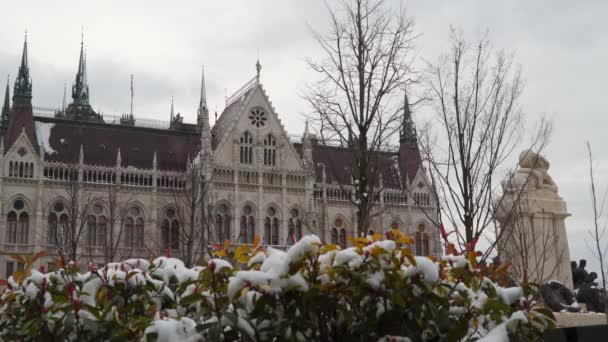 Arbustos en la nieve cerca del Parlamento húngaro — Vídeo de stock