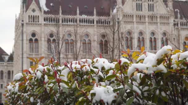 Венгерский парламент. Зима — стоковое видео