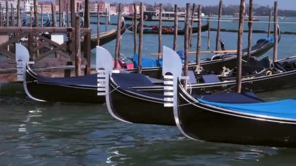 Venedig Italien März 2018 Traditionelle Gondeln Kai — Stockvideo