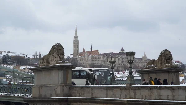 Szobrok, oroszlánok, a budapesti Széchenyi hídon — Stock Fotó