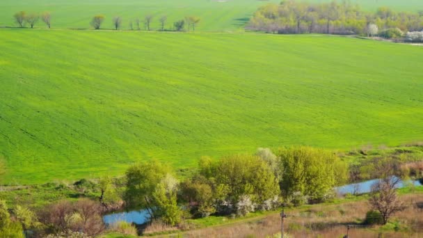 Frühling Panoramablick Auf Das Feld Und Den Fluss — Stockvideo