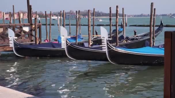 Gondolas Pier Venice Italy — Stock Video