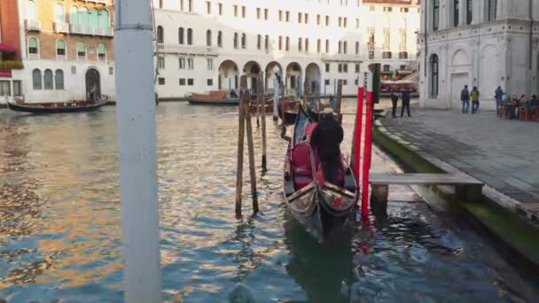 Venedig Italien März 2018 Gondoliere Auf Dem Pier Grand Canal — Stockvideo
