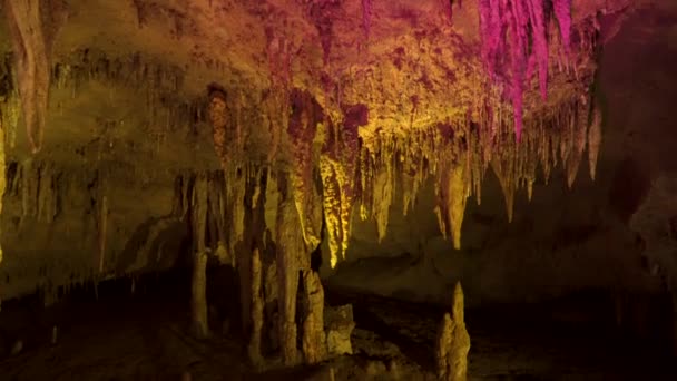 Stalactite Stalagmite Elongated Forms Various Minerals Deposited Solution Slowly Dripping — Stock Video