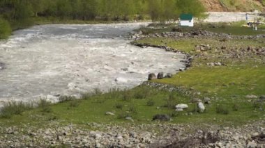 Georgia 'daki Fırtınalı Dağ Nehri.