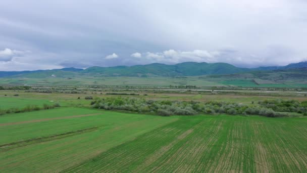 Ορεινή Κοιλάδα Στη Γεωργία Την Άνοιξη Συννεφιά Αεροφωτογραφία — Αρχείο Βίντεο