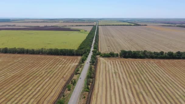 Carretera Entre Campos Agrícolas Vista Aérea — Vídeos de Stock