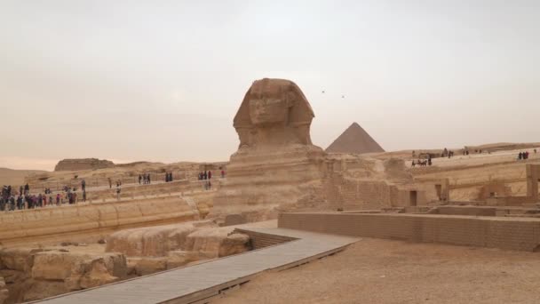 Velká Sfinga Gízy Běžně Označovaná Jako Sfinga Gízy Nebo Jen — Stock video