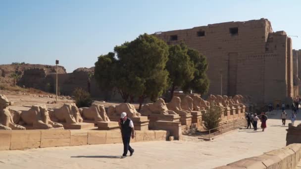 Luxor Egypten Januari 2020 Karnak Temple Complex Allmänt Känd Som — Stockvideo