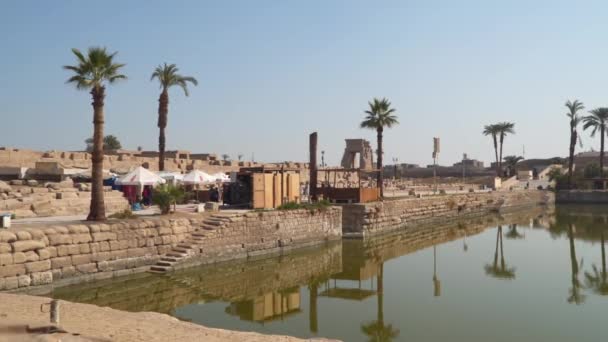 Luxor Egypt January 2020 Lake Karnak Temple Luxor Egypt — Stock Video