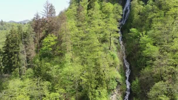 Cascade parmi les arbres sur un flanc de montagne. Vue aérienne 