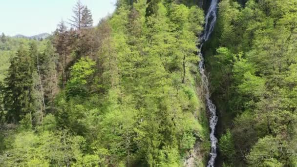 Wasserfall Zwischen Den Bäumen Einem Berghang Luftbild — Stockvideo