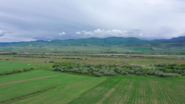 Vista Aérea Los Campos Agrícolas Colinas Verdes Día Nublado Primavera — Vídeo de stock