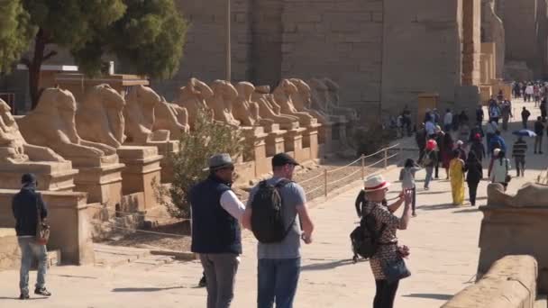 Луксор Египет Января 2020 Года Карнакский Храмовый Комплекс Включает Себя — стоковое видео