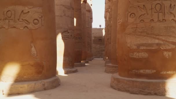 Kolumner Med Hieroglyfer Karnaktemplet Luxor Egypten — Stockvideo