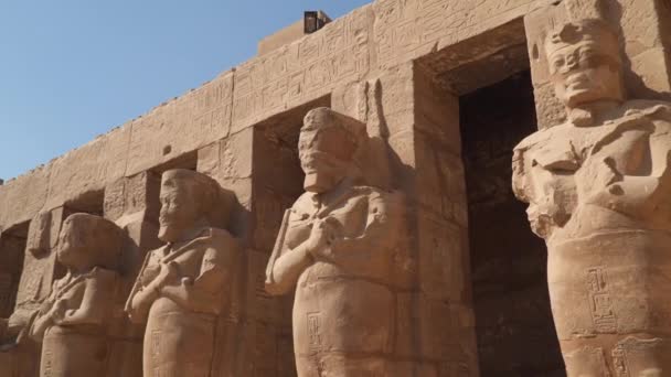 Egyptische Kunst Standbeelden Bij Karnak Tempel Luxor — Stockvideo