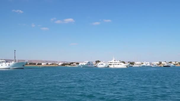 White Yachts Pier Shore Red Sea Egypt View Floating Ship — Stock Video