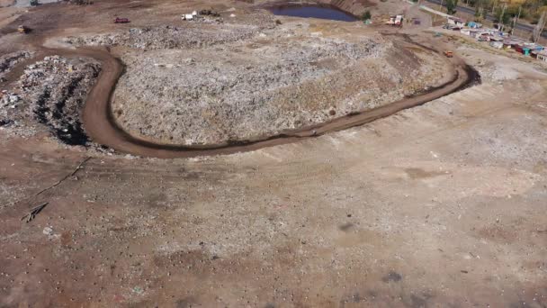 Basura de la ciudad. Avistamiento de aves — Vídeos de Stock