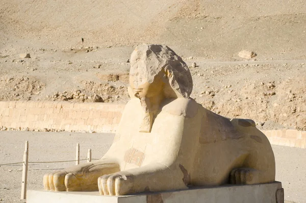 Luxor 'daki Morg Hatshepsut Tapınağı yakınlarında Sfenks — Stok fotoğraf