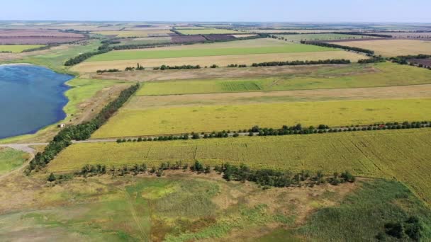 Vista Aérea Campos Agrícolas Cerca Del Estanque — Vídeos de Stock