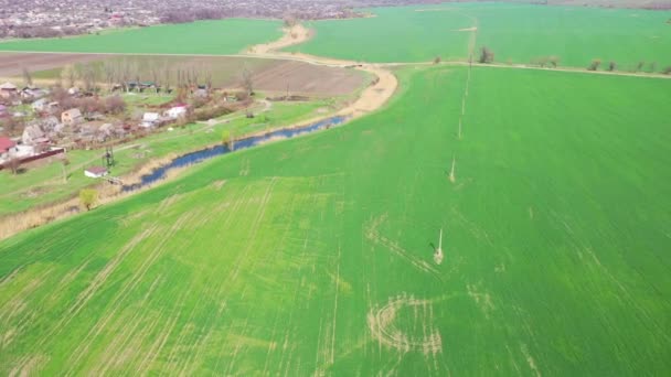 春の農業分野と川 空中風景 — ストック動画
