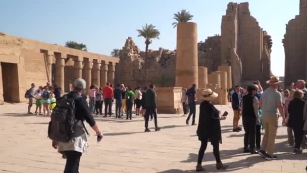 Luxor Egypt Ledna 2020 Velký Počet Turistů Chrámu Karnaku Luxor — Stock video