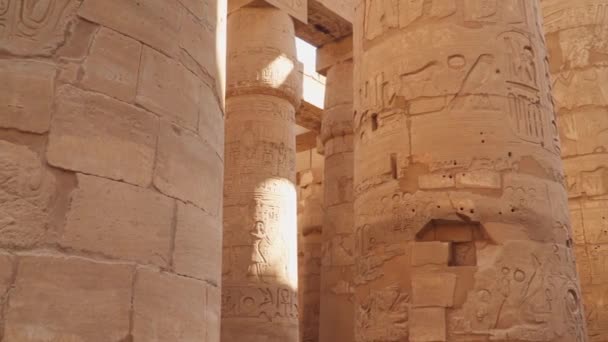 在卡尔纳克庙里有几列象形文字的柱子 Luxor埃及 — 图库视频影像
