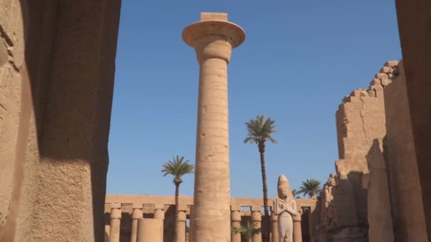 Karnak Tempel Luxor Egypte Standbeeld Van Ramses Met Zijn Dochter — Stockvideo