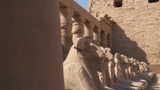 Standbeelden Van Sfinxen Van Rammen Karnak Tempel Luxor Egypte — Stockvideo