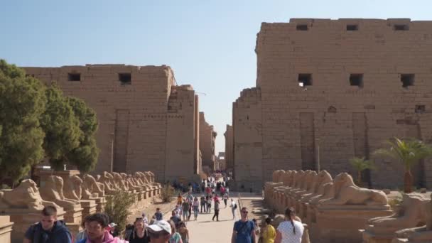 Luxor Egipt Stycznia 2020 Turyści Świątyni Karnak Luxor Egipt — Wideo stockowe