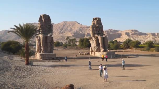 Luxor Єгипет Січня 2020 Colossi Memnon Дві Масивні Кам Яні — стокове відео