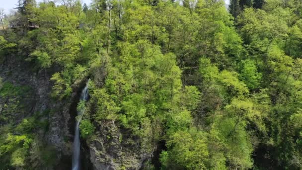 Wasserfall Zwischen Den Bäumen Einem Berghang Luftbild — Stockvideo