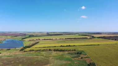 Göl ve tarımsal alanlarda kuş bakışı. Ayçiçeği tarlaları