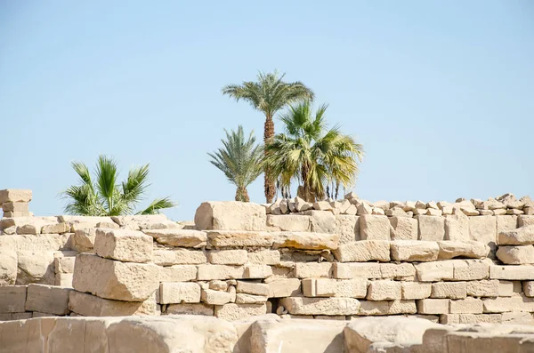 Luxor 'daki Karnak Tapınağı' ndaki palmiye ağaçlarının arka planında kalıntılar var. Mısır